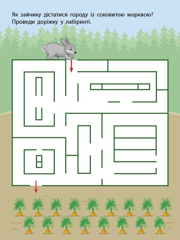 Лабіринти-хованки, фото - 2