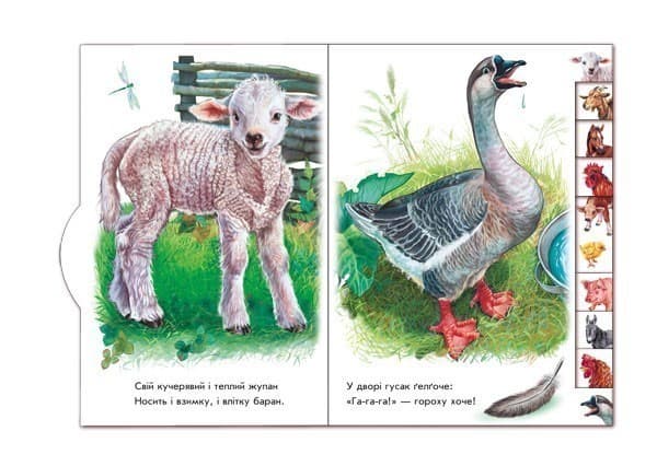 На подвір&#39;ї, фото - 2