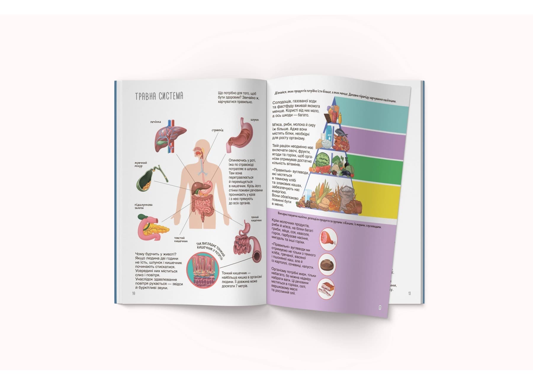 Книжка з наліпками. Тіло людини, фото - 2