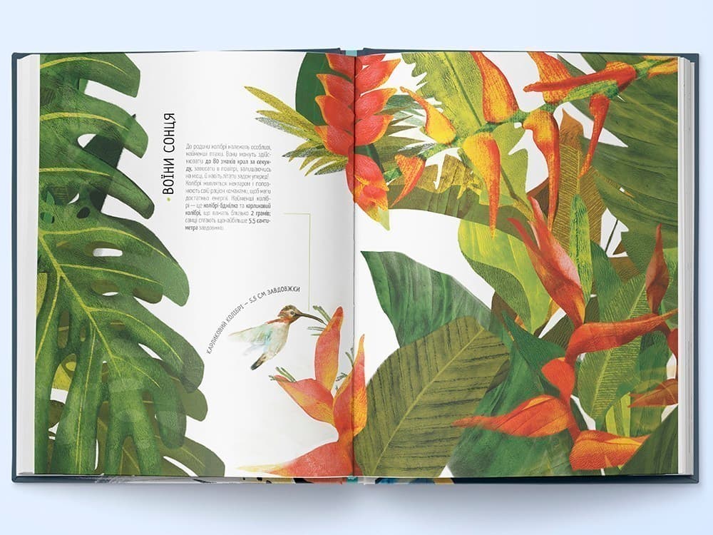 Тварини на всі 100%, фото - 2