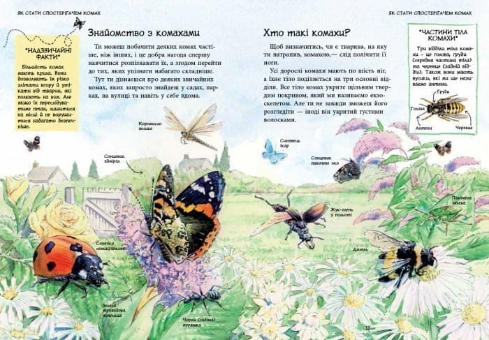 Комахи й інші маленькі істоти, фото - 3