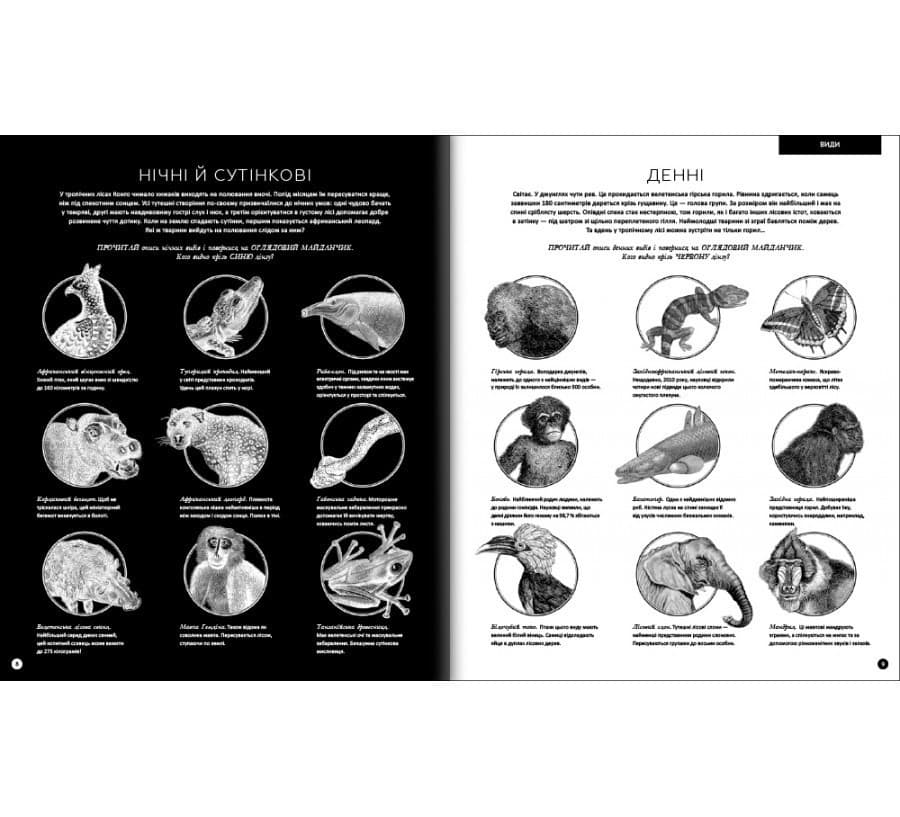 Приховані дива, фото - 3