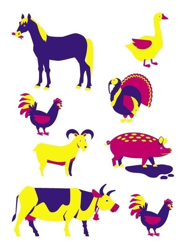 Відшукай пару, фото - 2