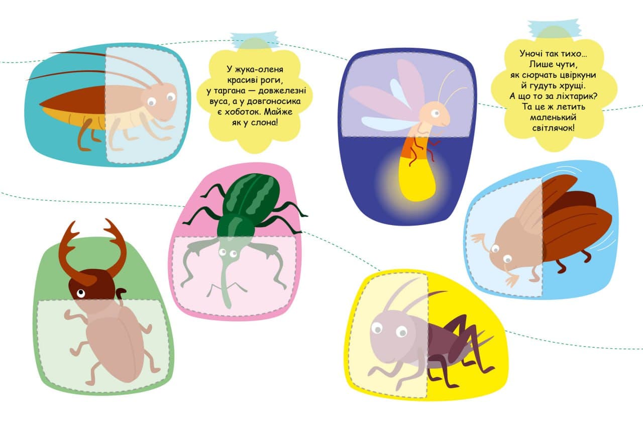 Комахи, фото - 3