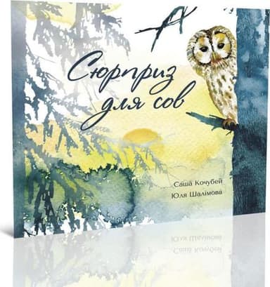 Сюрприз для сов