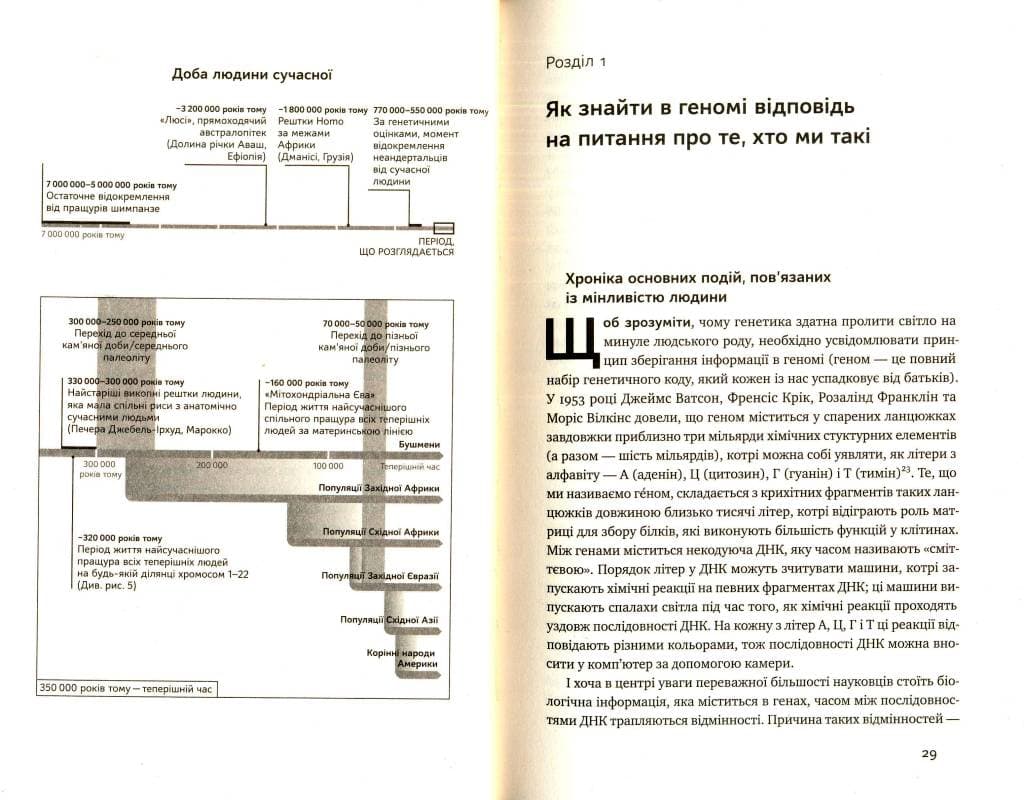 Хто ми такі? Походження людини крізь призму ДНК, фото - 3