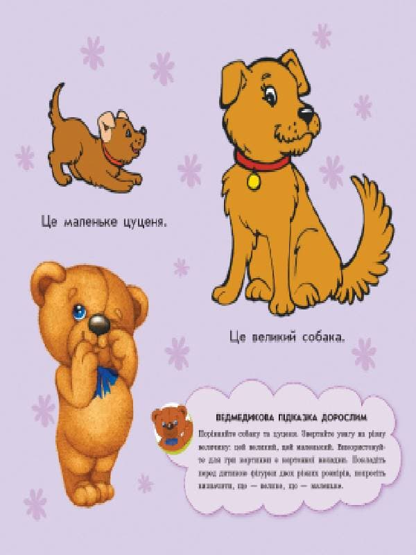 Величина, фото - 2