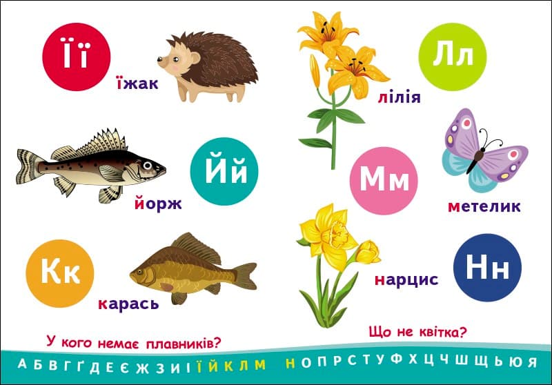 Абетка., фото - 3