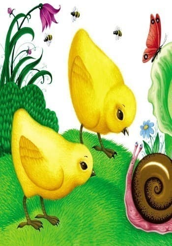 У сонечка в гостях, фото - 3