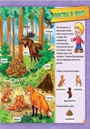 У лісі, фото - 2