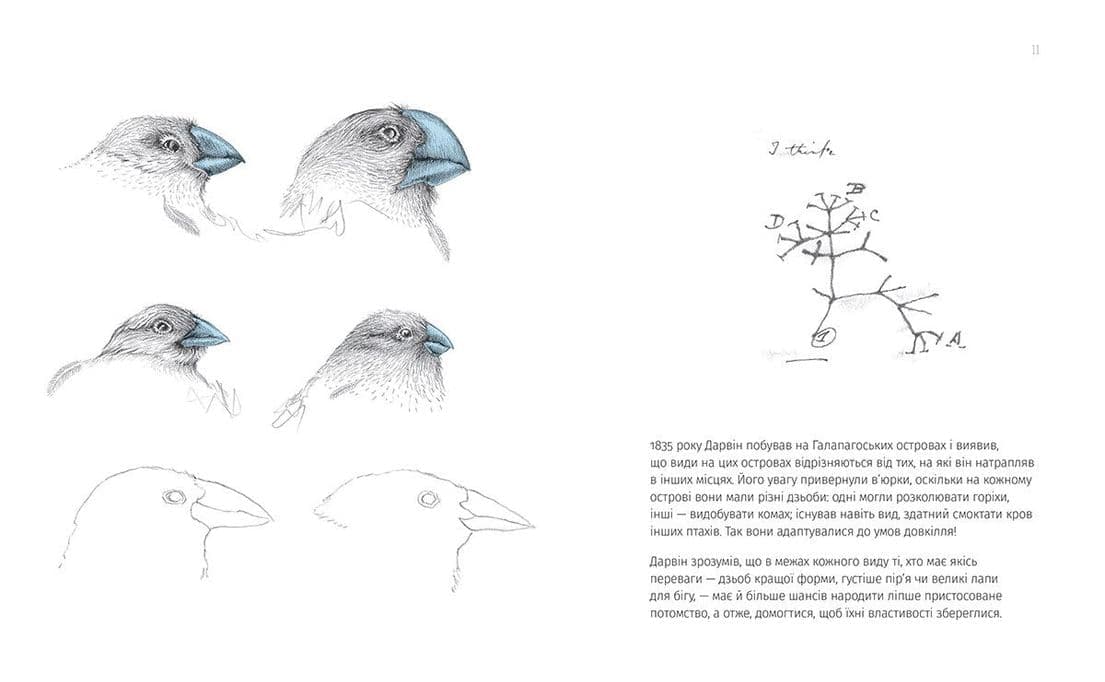 Однакові чи різні? Геноміка, фото - 2