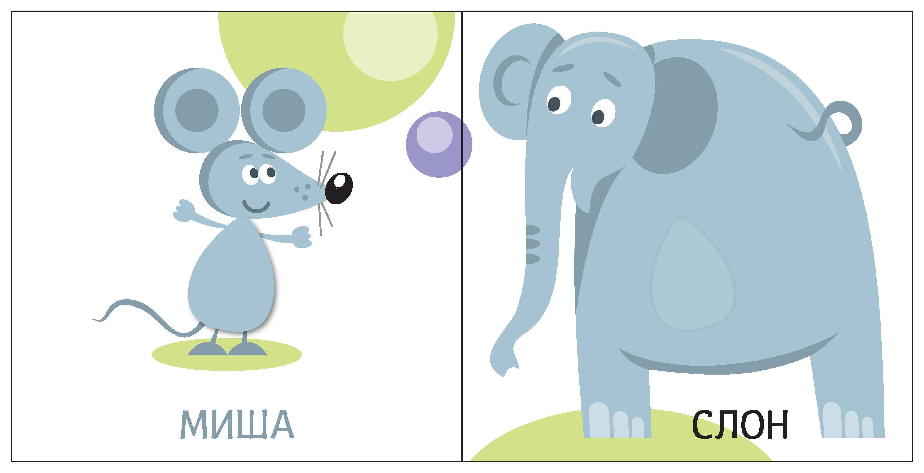 Яскравий світ. Розміри, фото - 3