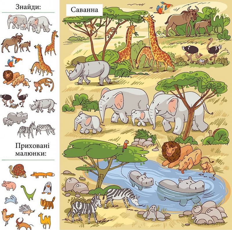 Приховані малюнки : ЗЕЛЕНА книжечка, фото - 3