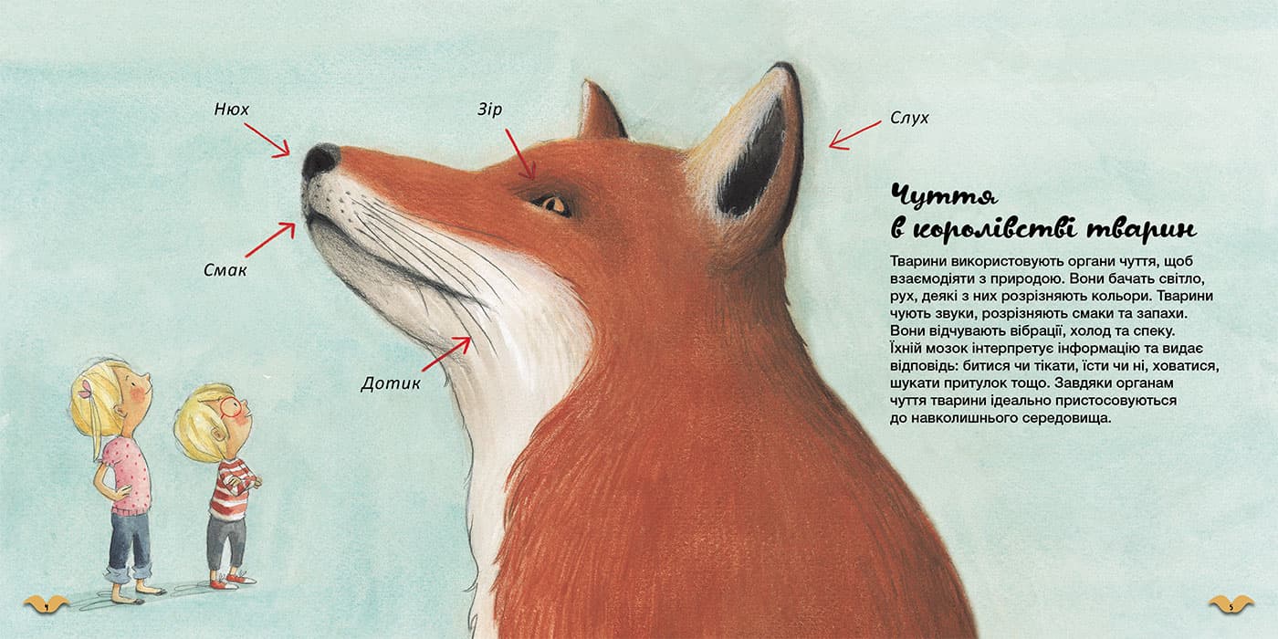 Які органи чуття у тварин?, фото - 2