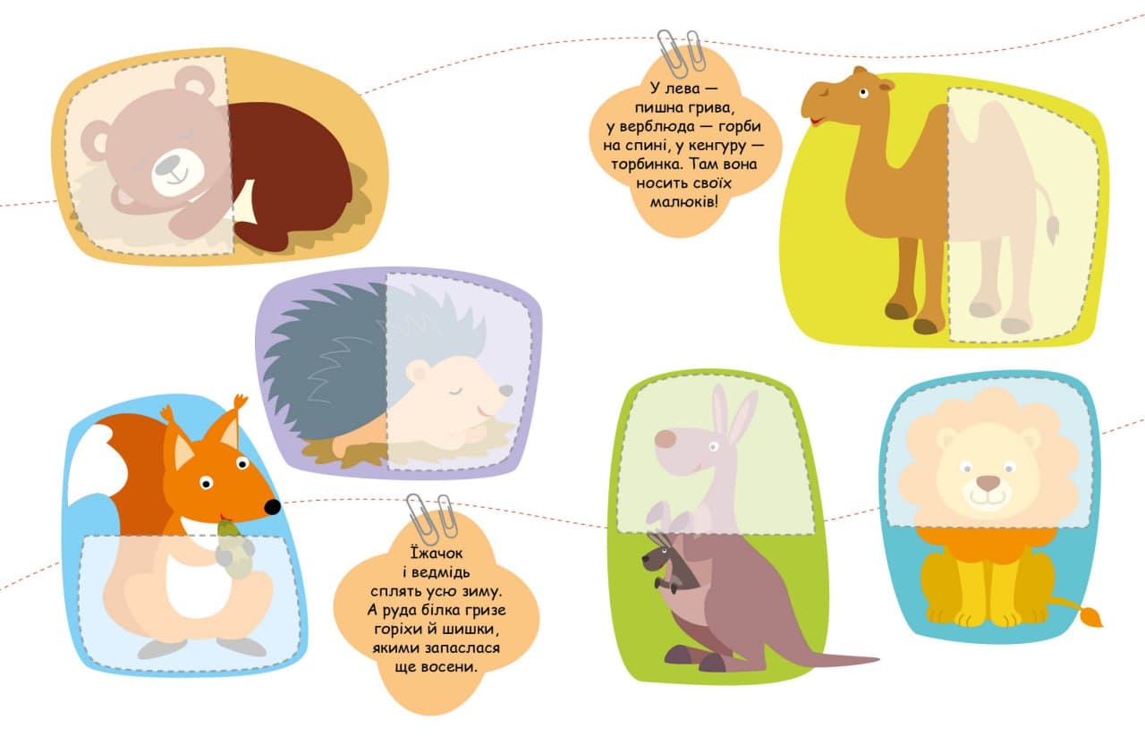 Тварини, фото - 3