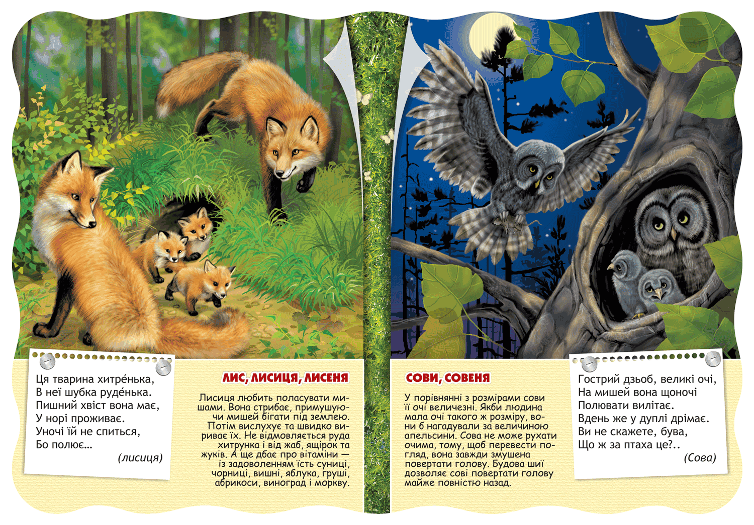 Лісові тварини (Малятко-розумнятко) (мінімальний брак), фото - 2