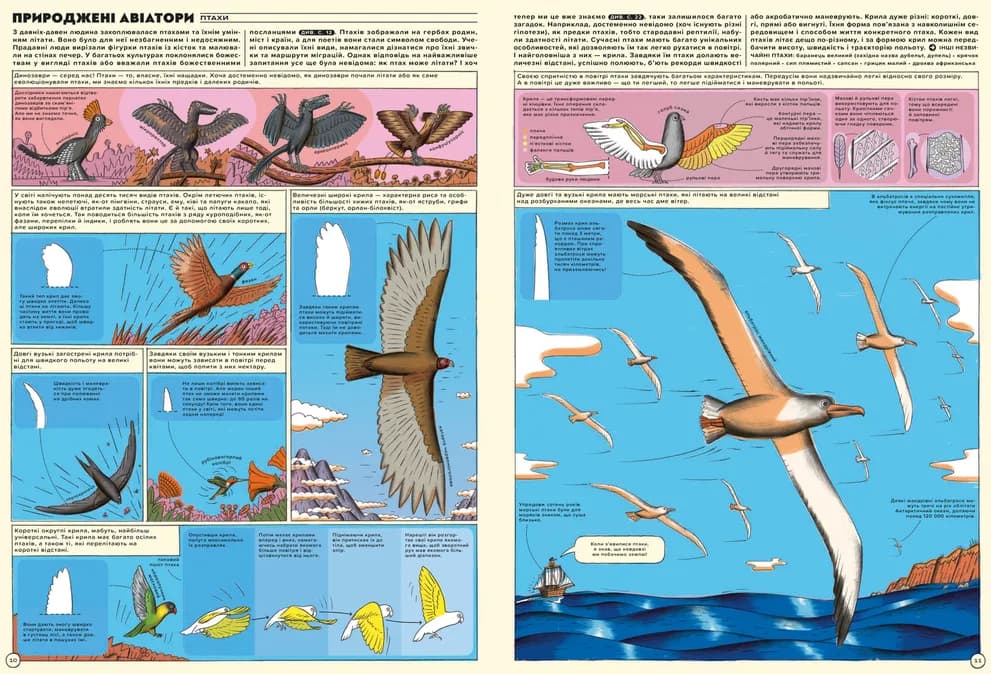 Але високо! Мальована історія авіації, фото - 3