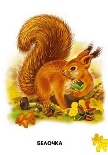 Кто в домике живет?, фото - 2