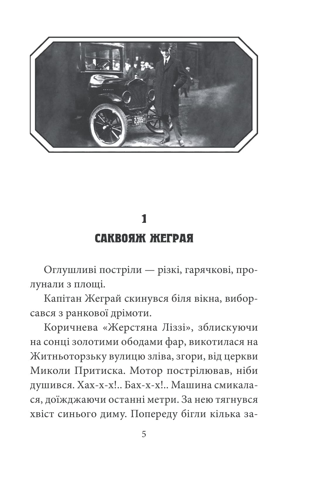 Мертві птахи падають у небо. Помилка капітана Жеграя, фото - 2
