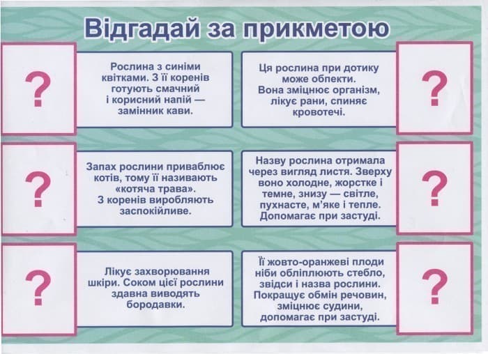 Розповімо дітям.Про лікарські рослини, фото - 3