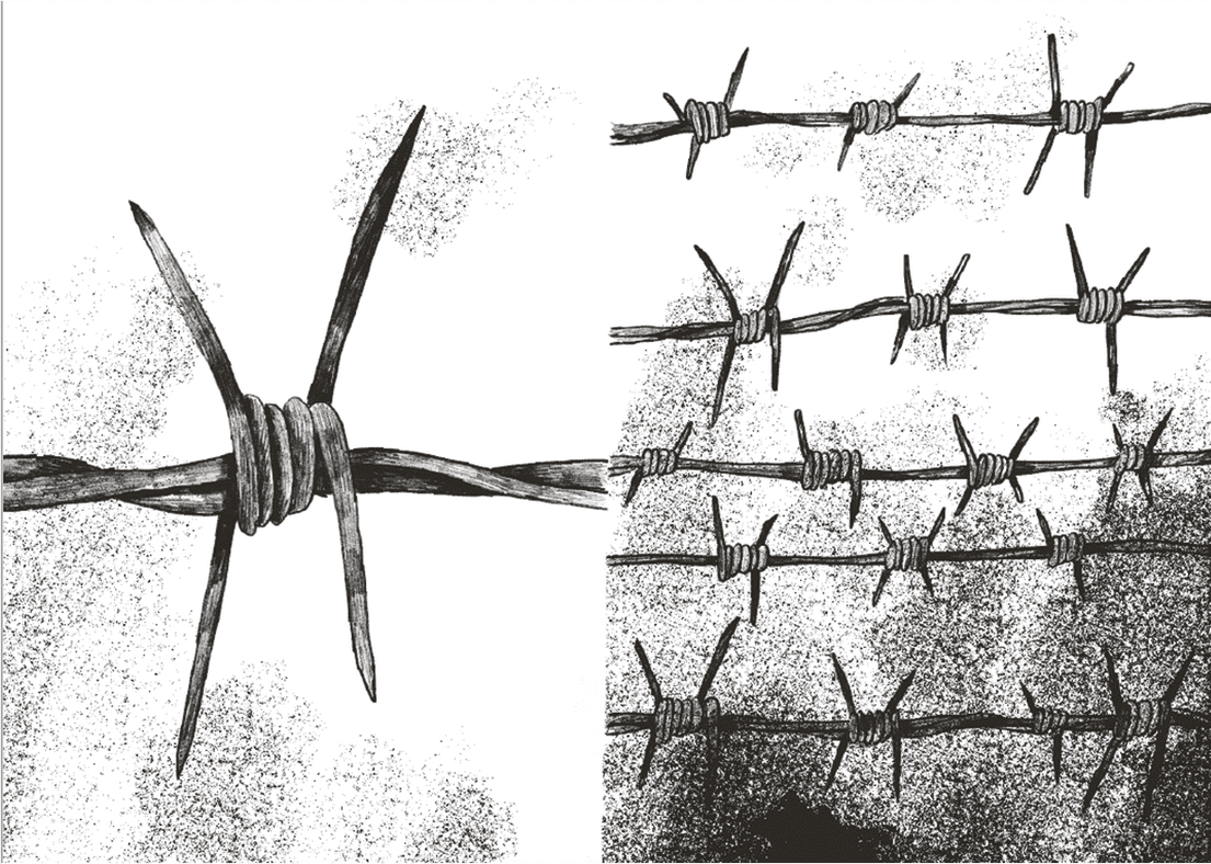Жовтий метелик, фото - 2