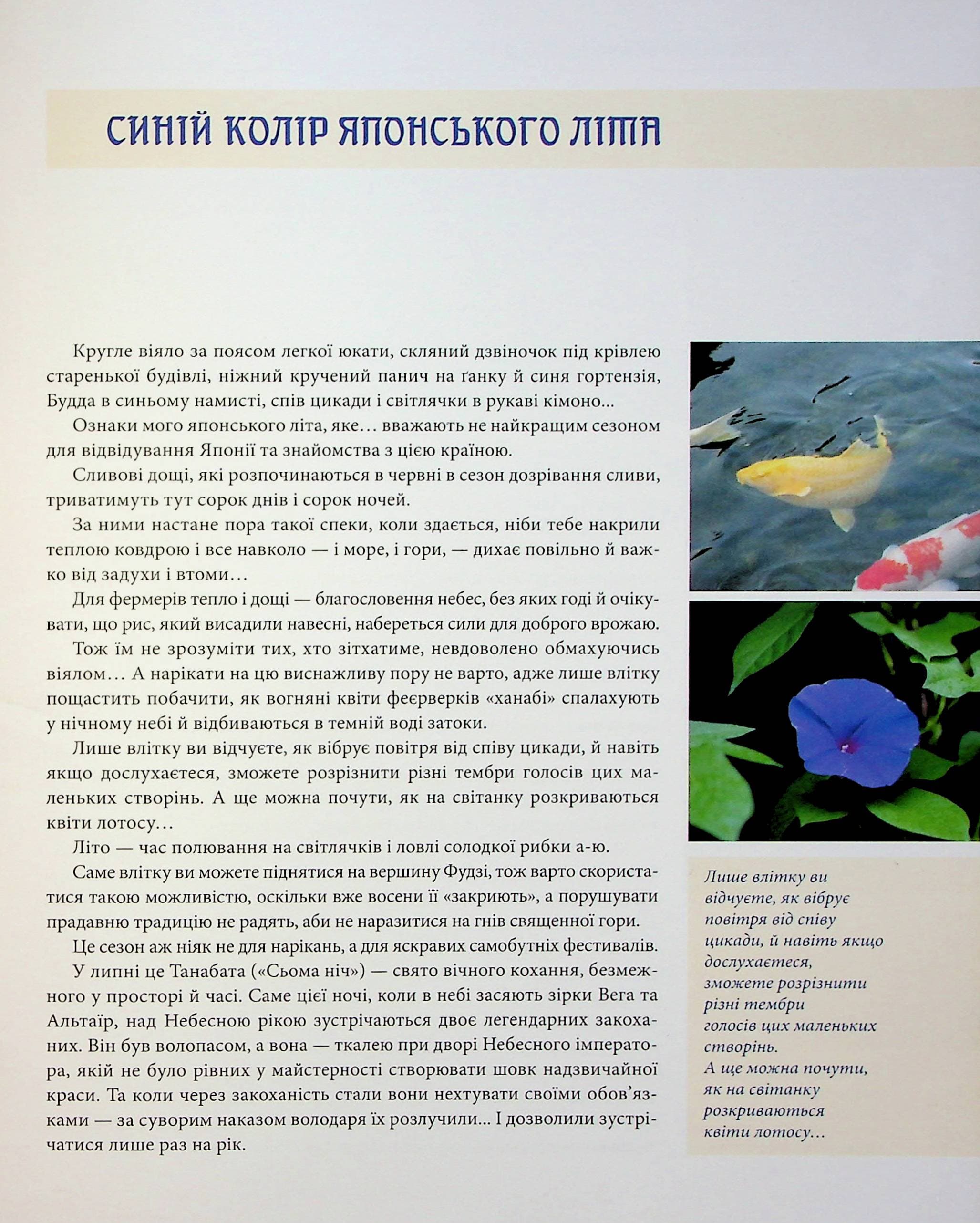 Синій колір японського літа, фото - 3
