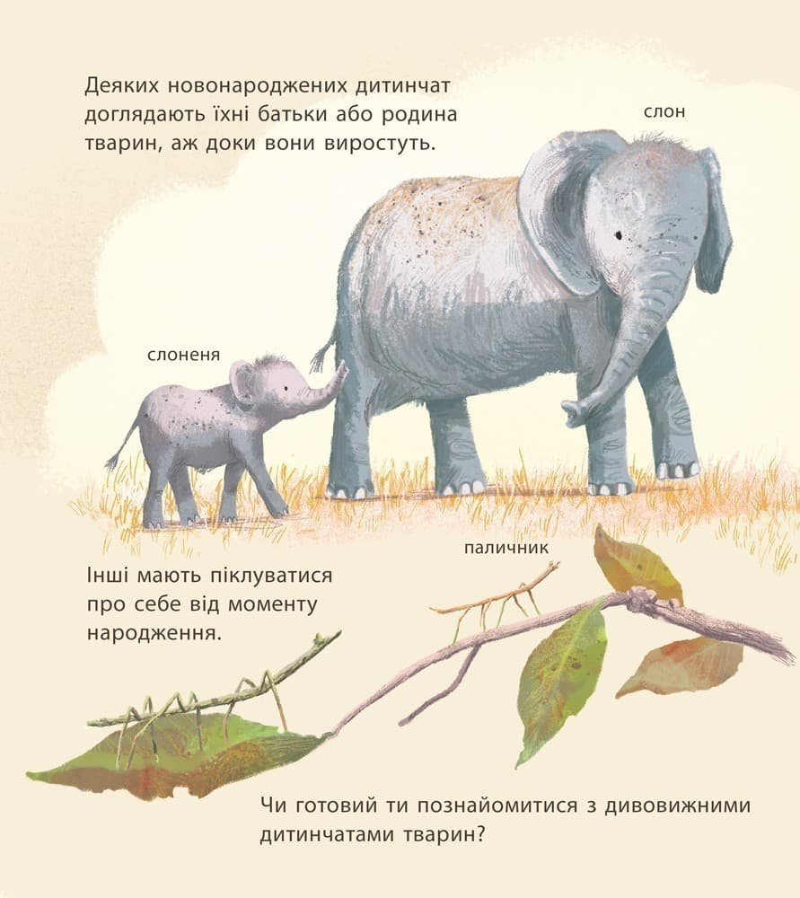 Дивовижні дитинчата тварин, фото - 3