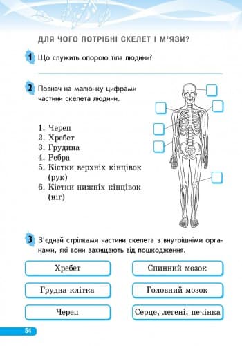 Природознавство. 3 клас. Робочий зошит. До підр. І. В. Грущинської, фото - 3