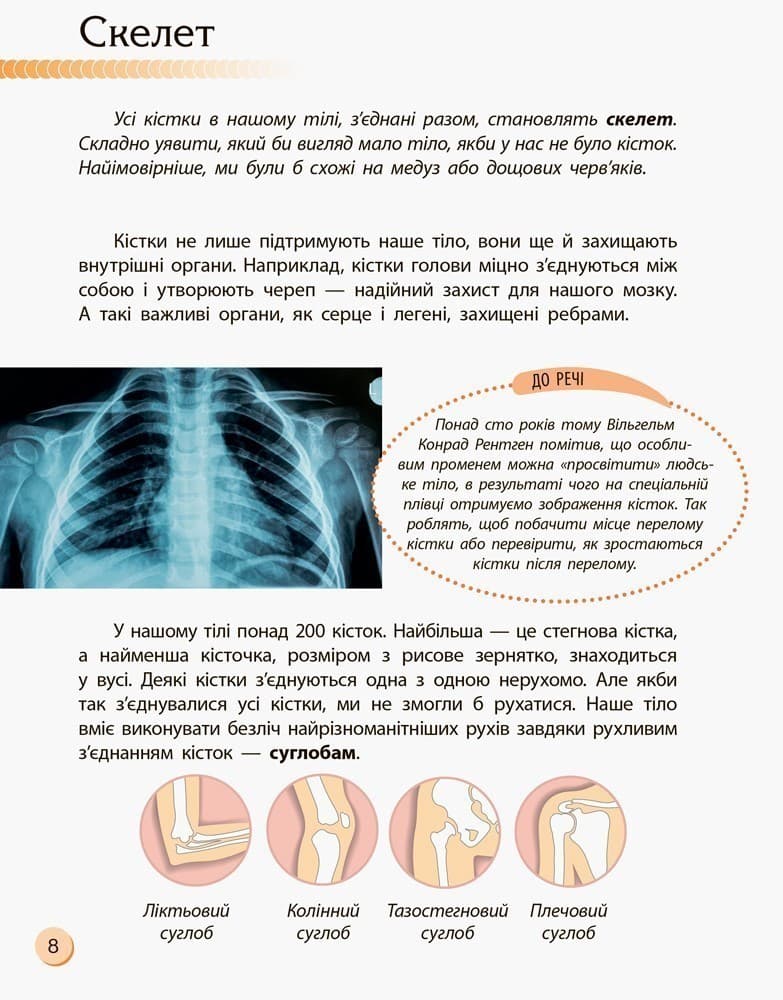 Людина та її тіло, фото - 2