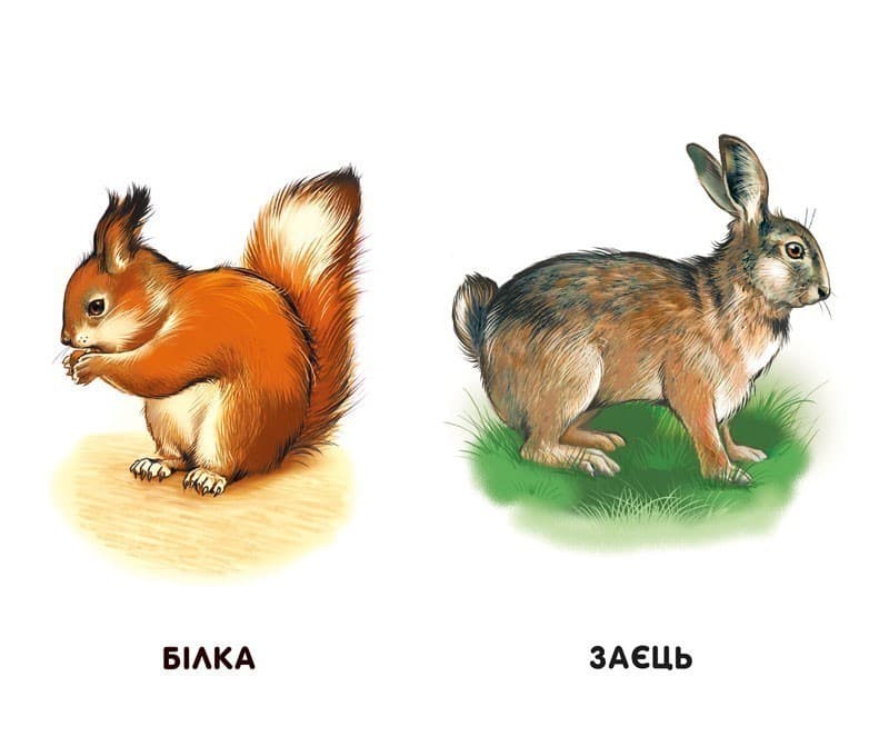 Улюблені тварини, фото - 2