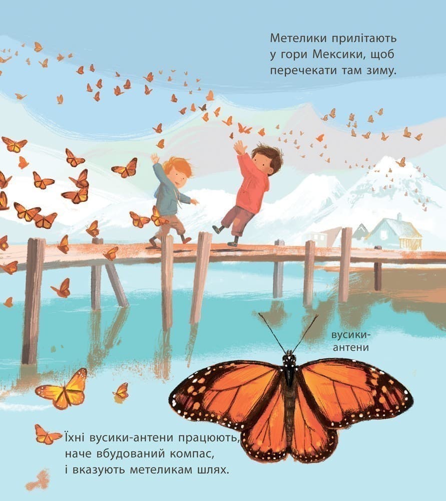 Дивовижні мандрівки тварин, фото - 2