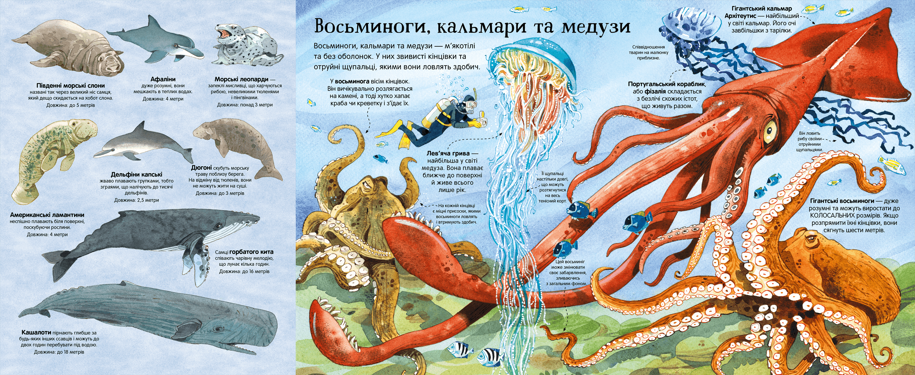 Велика книга морських мешканців, фото - 3