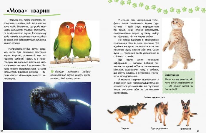 Тварини. Відкриваємо світ, фото - 2