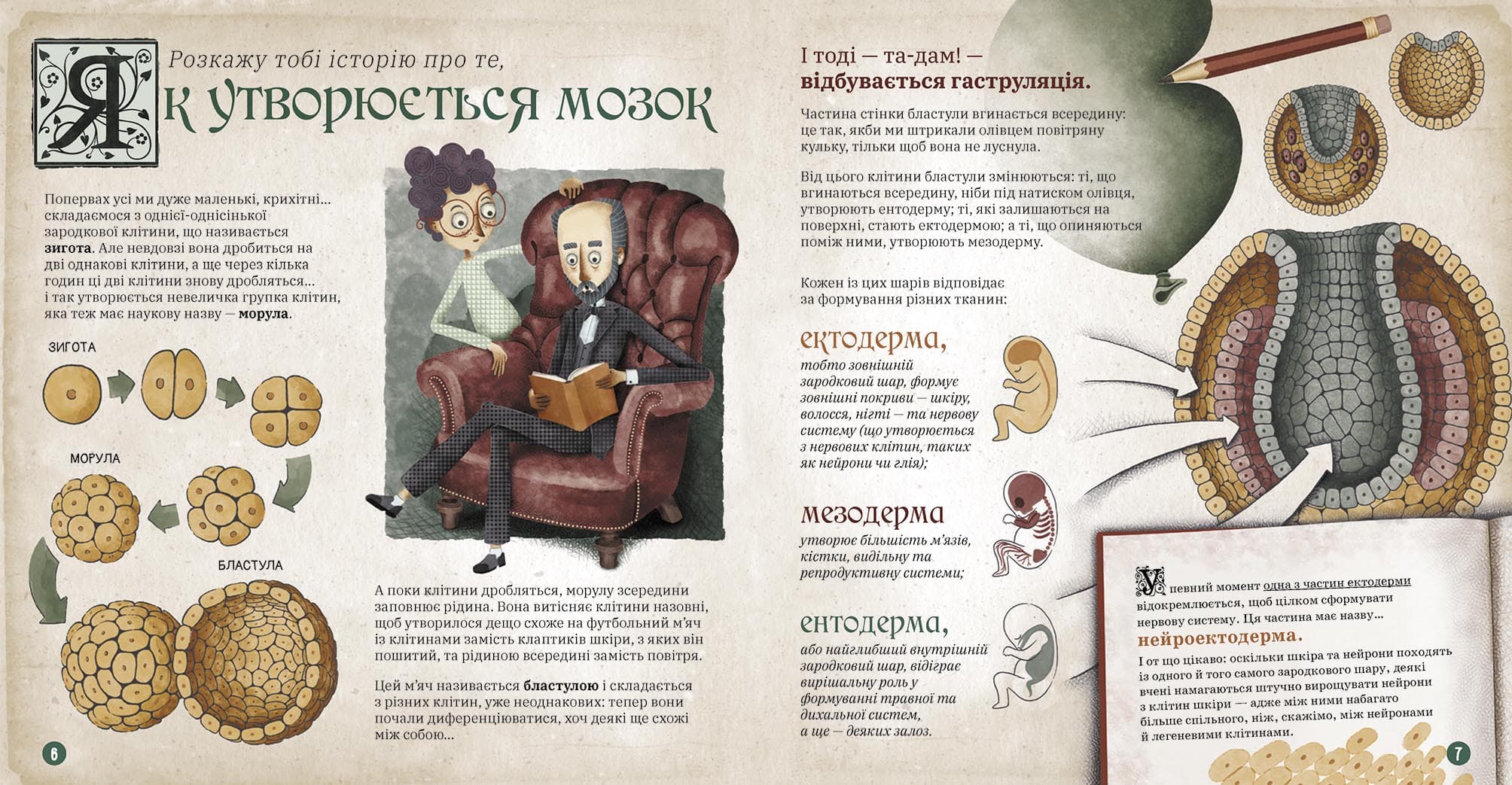 Як працює людський мозок, фото - 2