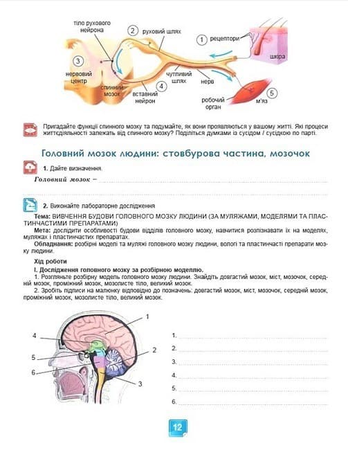 Біологія. 8 клас. Робочий зошит, фото - 2