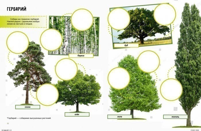 Жизнь леса. Тетрадь, фото - 3