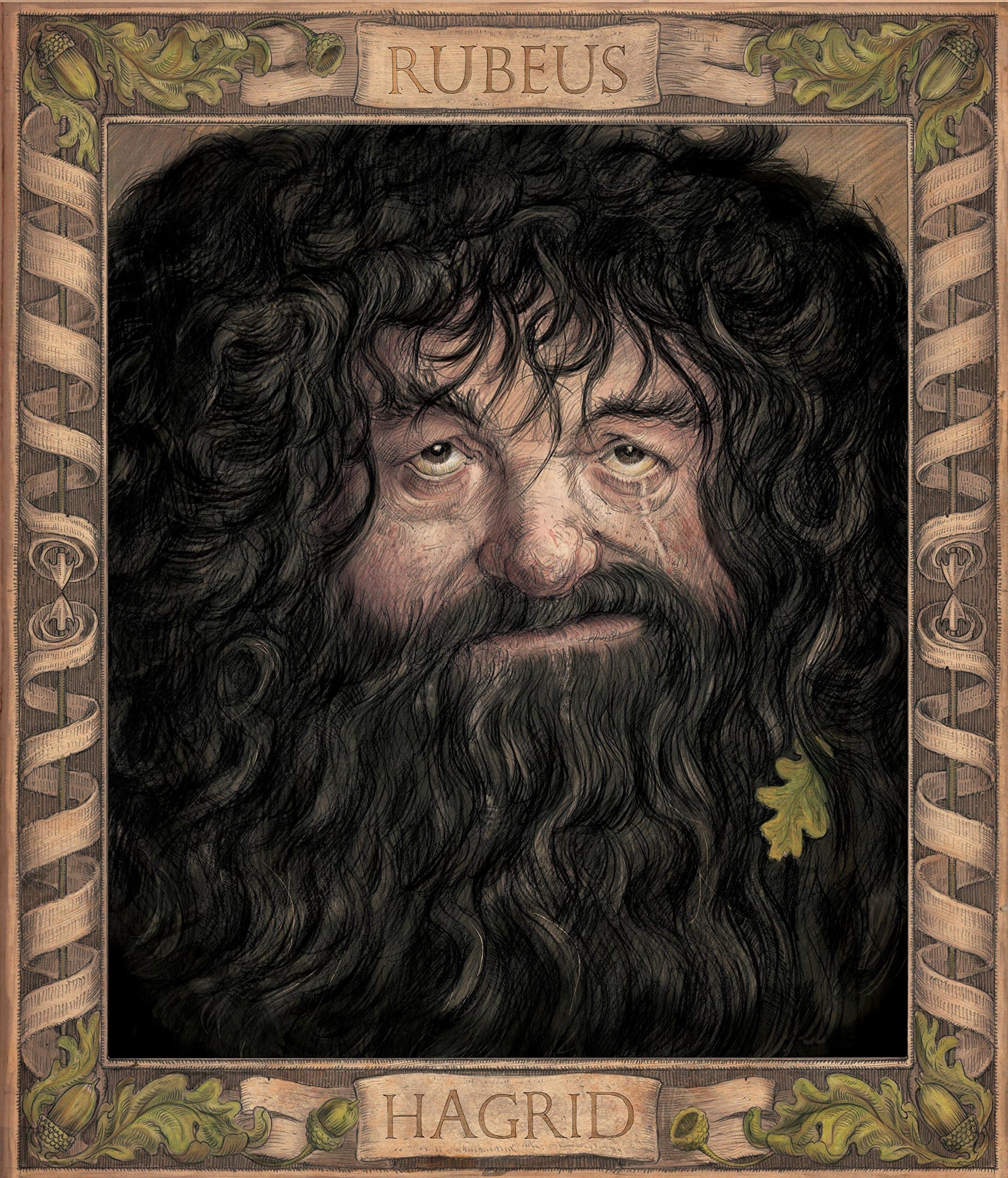 Harry Potter and the Chamber of Secrets Illustrated Edition, фото - 3