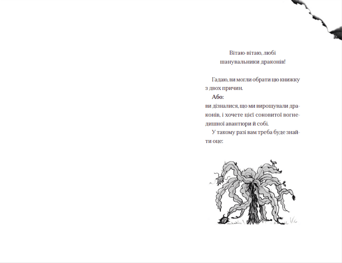 Хлопчик, який жив з драконами. Книга 2, фото - 2