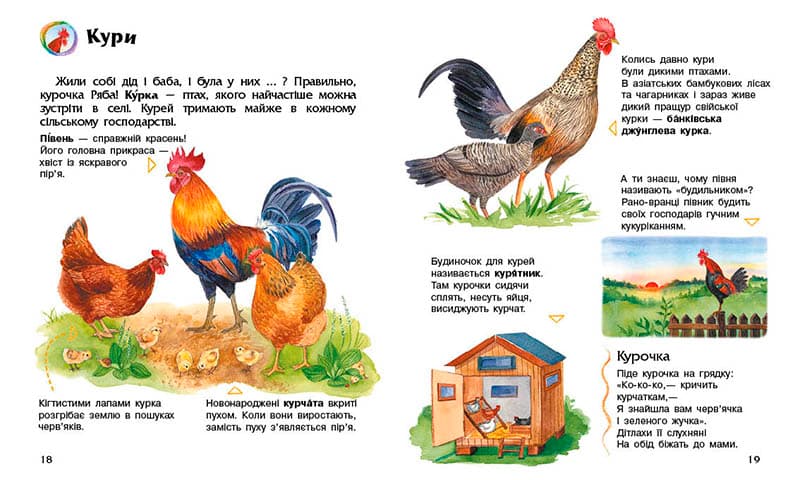 Свійські тварини, фото - 3