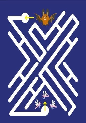 Їжачок, фото - 2