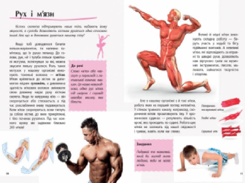 Людина. Відкриваємо світ, фото - 2