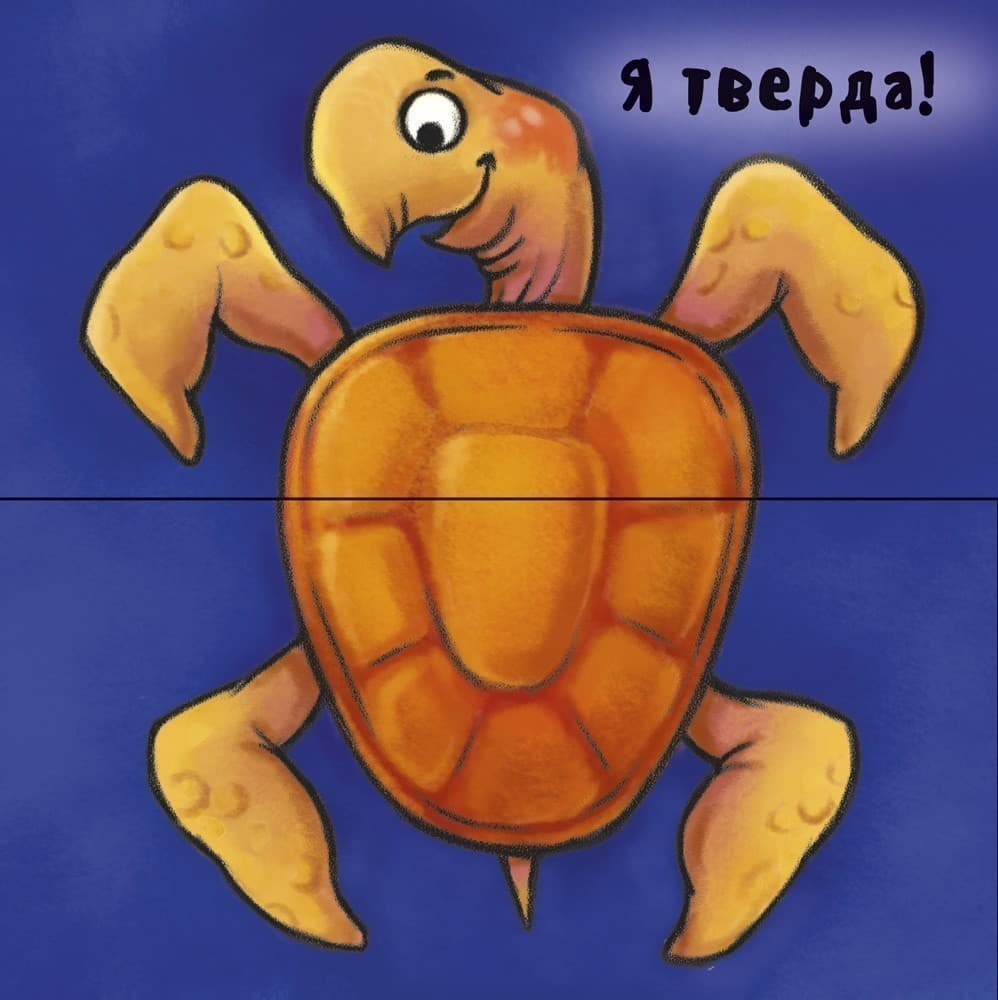 Отакі різні, фото - 2