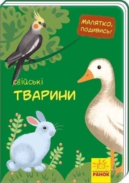 Свійські тварини, фото - 1