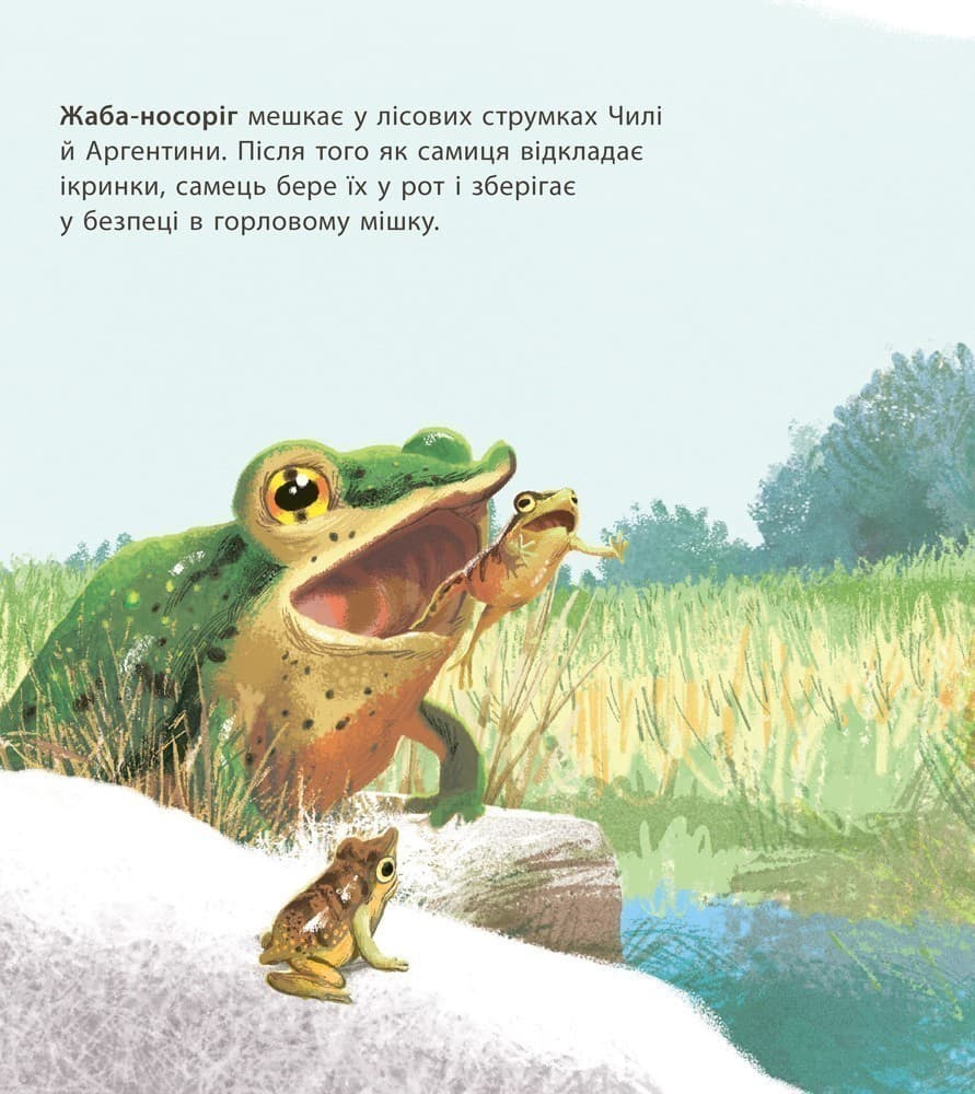 Дивовижні дитинчата тварин, фото - 2