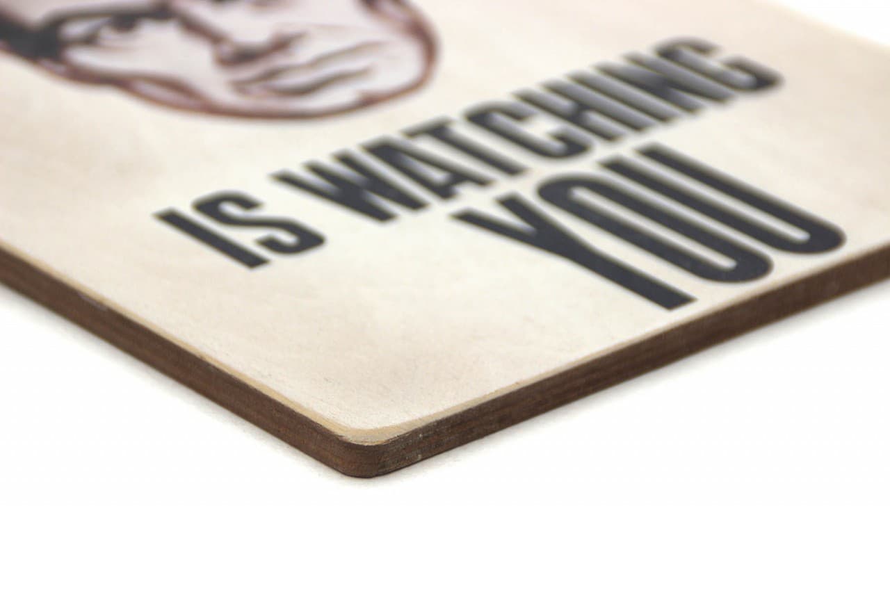 Постер &#39;Big brother is watching you&#39;, фото - 3