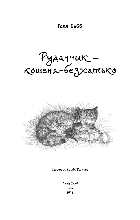 Руданчик — кошеня-безхатько, фото - 2