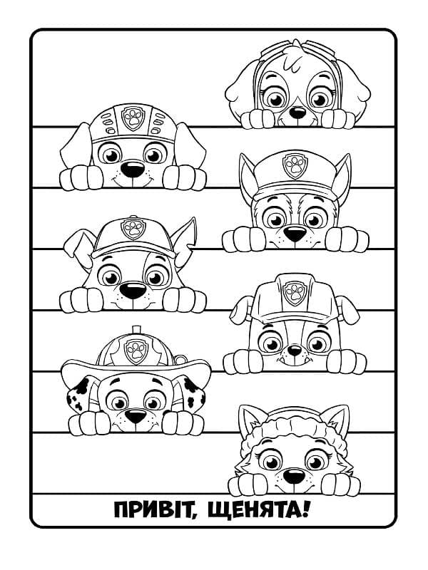 ЩП. Кольорові пригоди. Готові діяти!, фото - 2