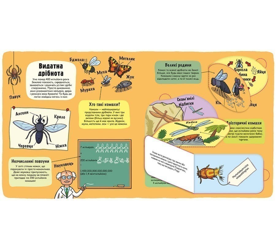 Маленькі дослідники: Комашки, фото - 2
