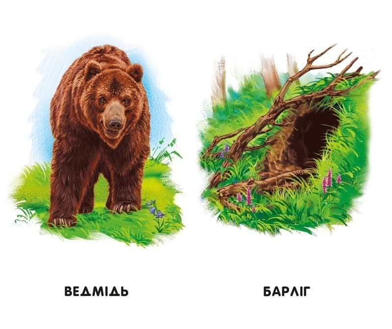 Хто живе у будиночку?, фото - 3