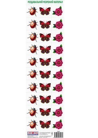 Роздавальний розрізний матеріал.Квіти.Комахи, фото - 1